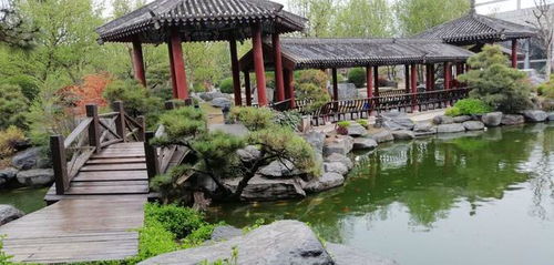 独具南北园林特色两千亩精品公园西安中园唐苑免费开放