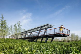设计师把市政项目炫成旅游景点 沣河 文教园段 湿地生态公园